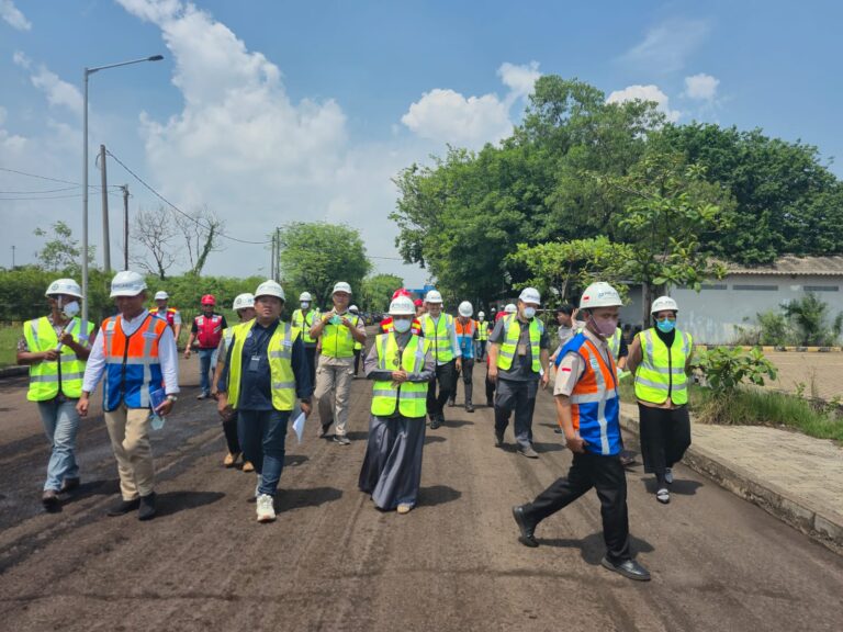 WhatsApp Image 2025-11-26 at 11.54